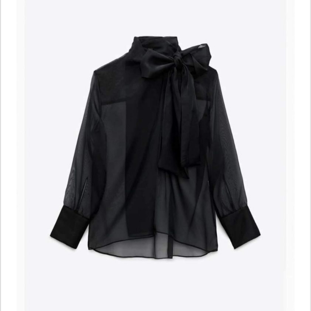 Zara Organza Blouse With Tie